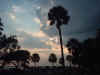 Charleston dusk.jpg (301291 bytes)